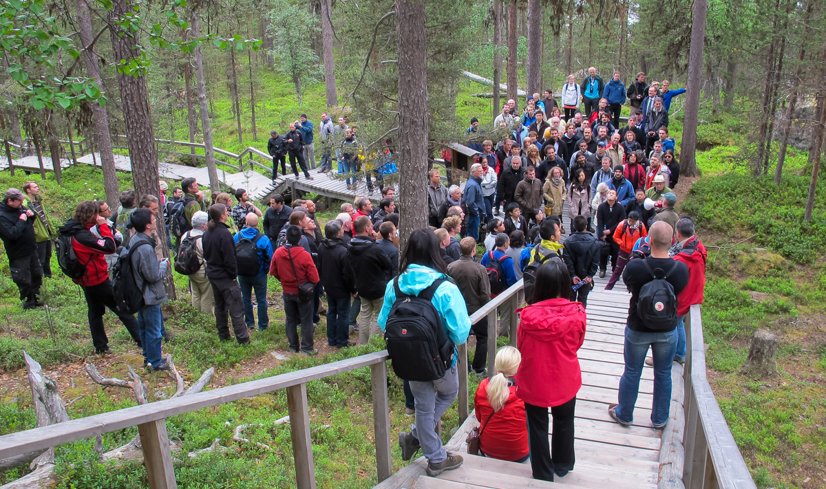Suomen Metsätieteellisen Seuran kokoukseen osallistuneita mallintajia tutustumassa Inarissa sijaitsevaan 700-vuotiaaseen metsään.