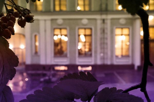 Lehtien ja oksien välistä näkyy maisema kivitalon sisäpihaan. Talon ikkunoista hehkuu lämmintä valoa.